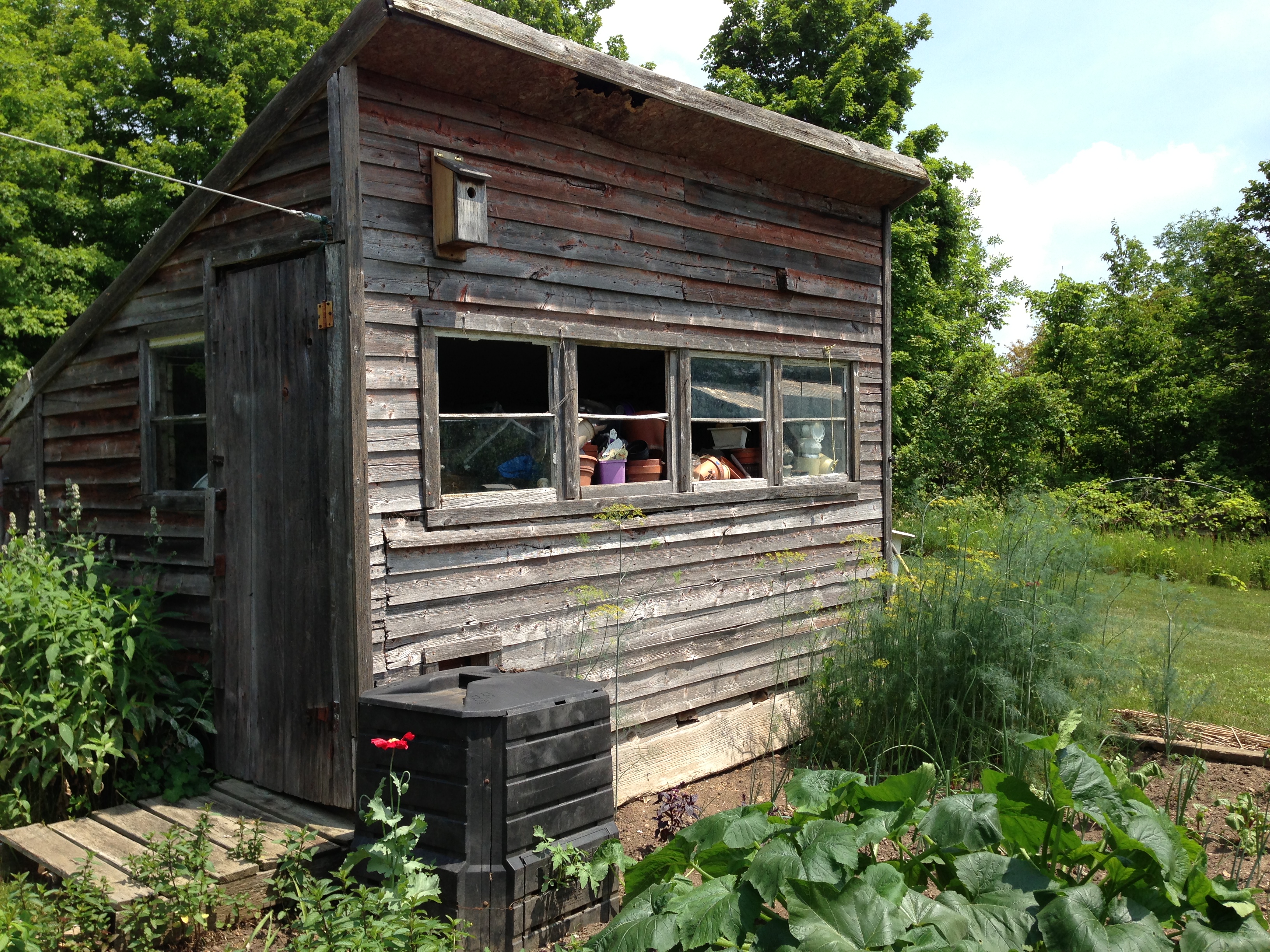 Rustic garden shed | Meanwhile, at the Manse